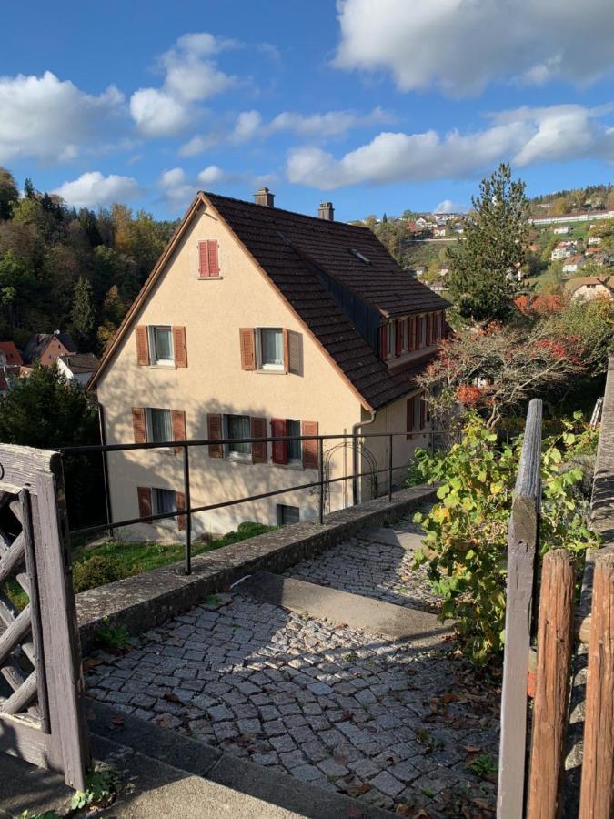 Grosse Wohnung Mit 2 Schlafzimmern Altensteig Buitenkant foto